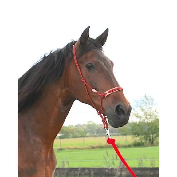 FRA Csomózott profi kötőfék Pablo cob méret, 6szín, 7mm