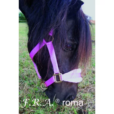 F.R.A. Roma / kötőfék alápárnázás pink csikó
