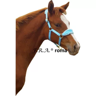 F.R.A. Roma / kötőfék alápárnázás ég kék csikó