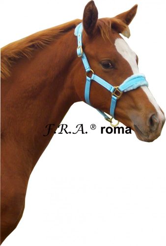 F.R.A. Roma / kötőfék alápárnázás kék pony