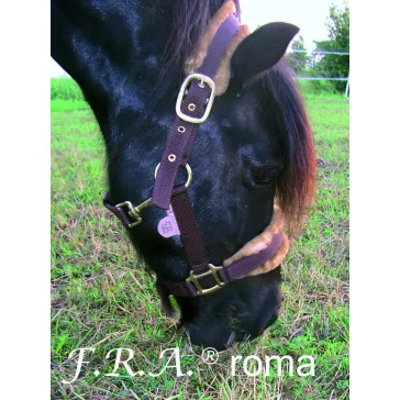 F.R.A. Roma / kötőfék alápárnázás barna/beige pony