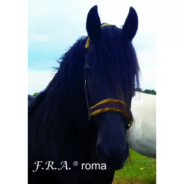 F.R.A. Roma / kötőfék alápárnázás barna/beige full