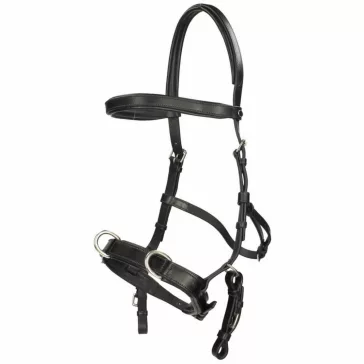 F.R.A. Baro / Cavesson, fekete bőr