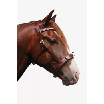   F.R.A. Wendy B / Cavesson, zabla nélküli kantár, mokka barna olasz bőr, bőr szár