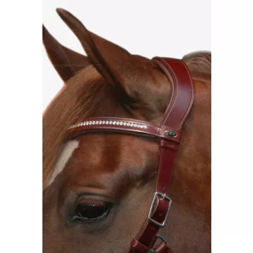   F.R.A. Wendy B / Cavesson, zabla nélküli kantár, mokka barna olasz bőr, bőr szár