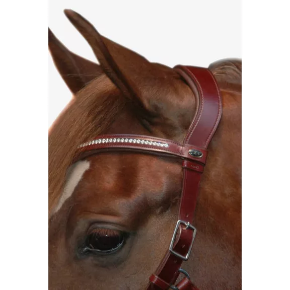 F.R.A. Wendy B / Cavesson, zabla nélküli kantár, mokka barna olasz bőr, bőr szár