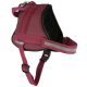 Maestro 2.0 hám - burgundy