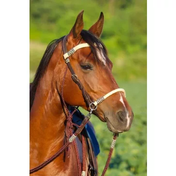 Barefoot Acorn 2 az 1-ben kantárfej