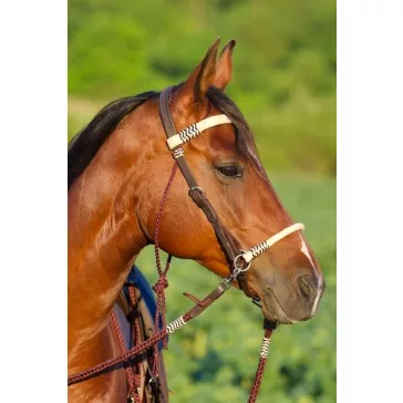 Barefoot Acorn 2 az 1-ben kantárfej