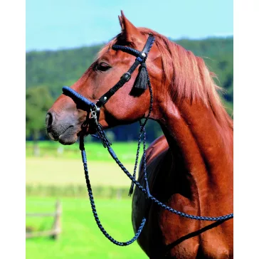 Barefoot Amber 2 az 1-ben kantárfej