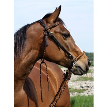 Barefoot Amber 2 az 1-ben kantárfej