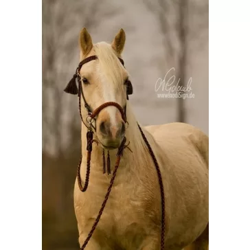 Barefoot Amber 2 az 1-ben kantárfej