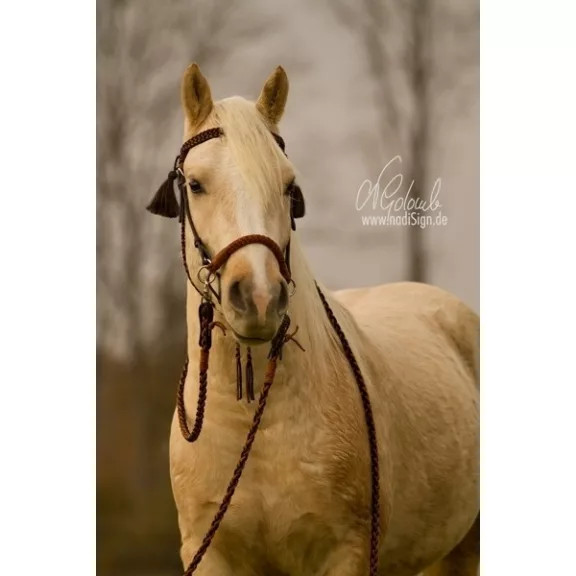 Barefoot Amber 2 az 1-ben kantárfej