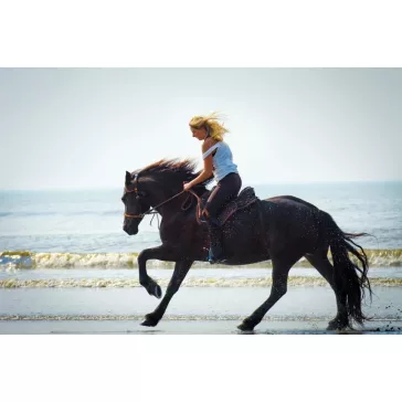 Barefoot Amber 2 az 1-ben kantárfej