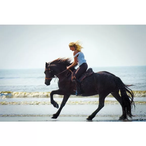 Barefoot Amber 2 az 1-ben kantárfej