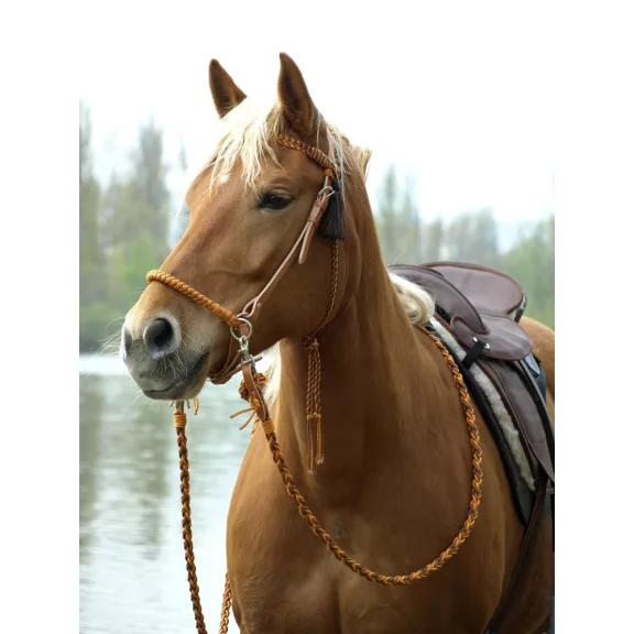 Barefoot Amber 2 az 1-ben kantárfej