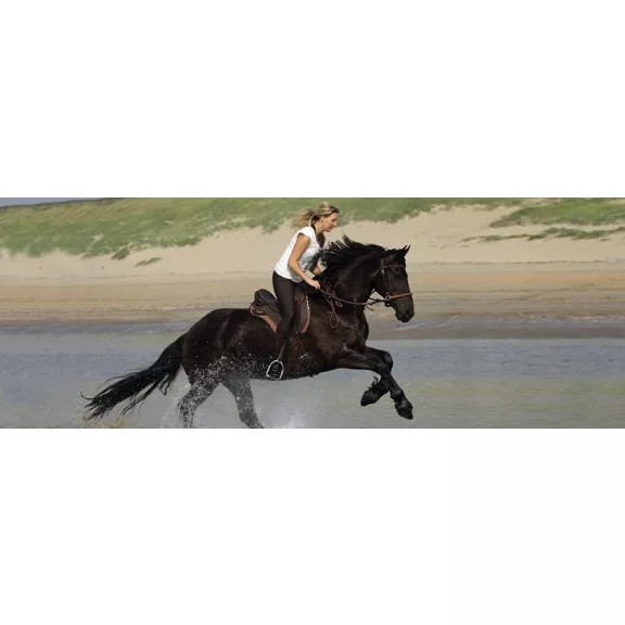 Barefoot Amber 2 az 1-ben kantárfej