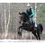 All Terrain Ultra patacipő /pár (speciális formájú patához vagy csavaró lábmozgásos lóra is jó)