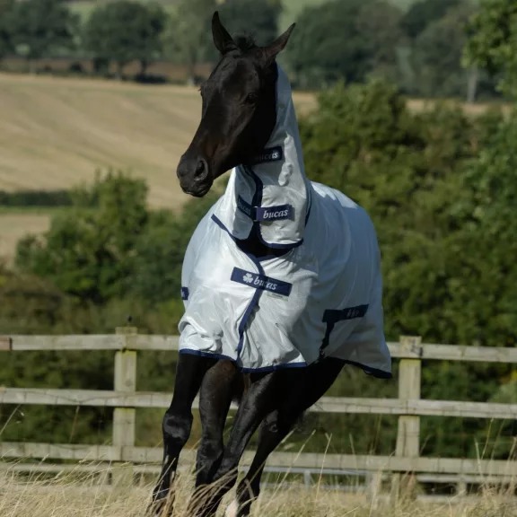 Bucas Freedom Fly Sheet rovartakaró,165cm