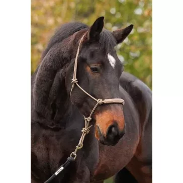 Barefoot Be Gentle 3 az 1-ben kötőfék-kantár