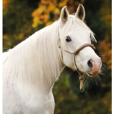 Barefoot Be Gentle 3 az 1-ben kötőfék-kantár