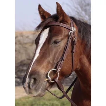 Barefoot Missoula Nut poncolt mintás kantár