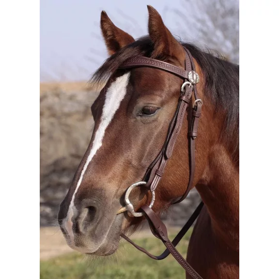 Barefoot Missoula Nut poncolt mintás kantár