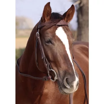 Barefoot Missoula Nut poncolt mintás kantár