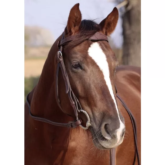 Barefoot Missoula Nut poncolt mintás kantár