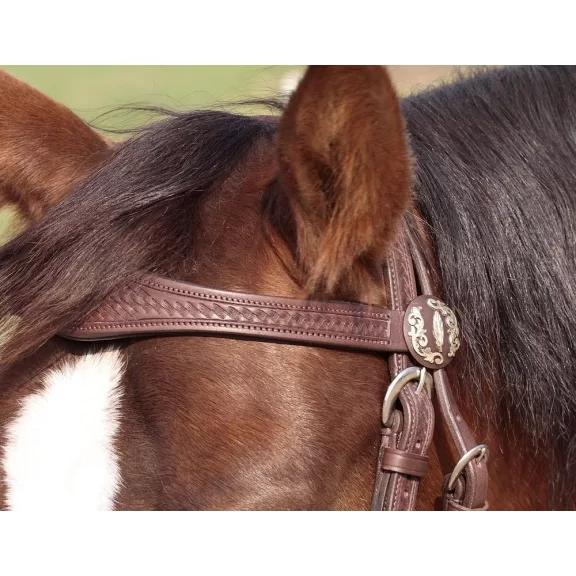 Barefoot Missoula Nut poncolt mintás kantár