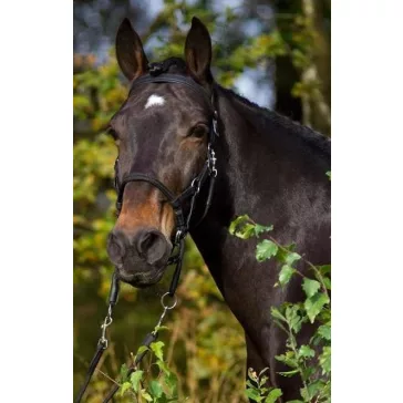 Barefoot Syringa zabla nélküli kantár, kantárszárral