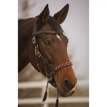 Barefoot Syringa zabla nélküli kantár, kantárszárral