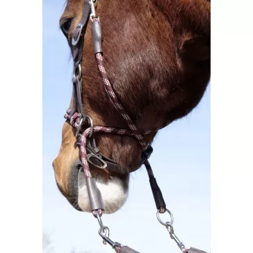 Barefoot Syringa zabla nélküli kantár, kantárszárral