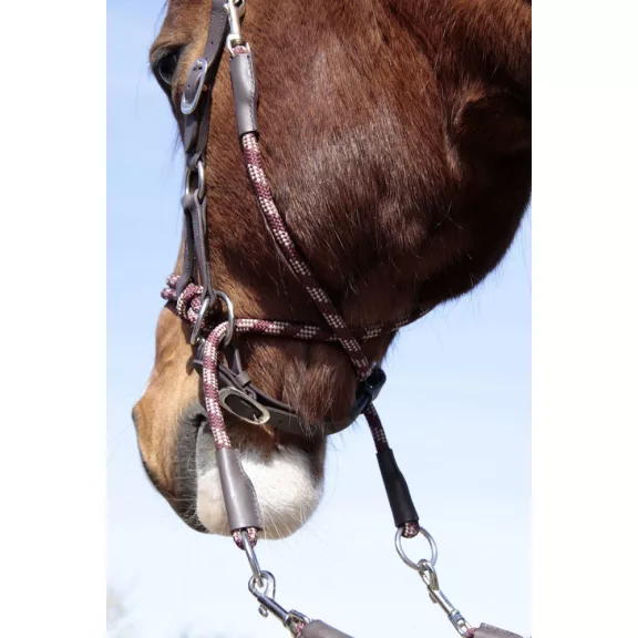 Barefoot Syringa zabla nélküli kantár, kantárszárral