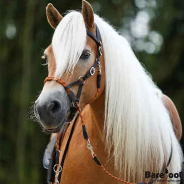 Barefoot Syringa zabla nélküli kantár, kantárszárral