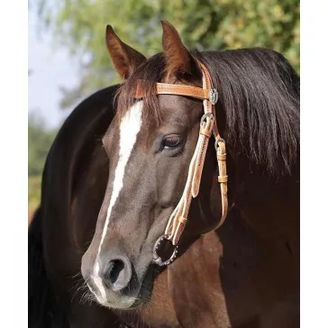 Barefoot Virginia Rose poncolt mintás kantár