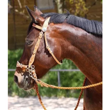 Barefoot Virginia Rose poncolt mintás kantár