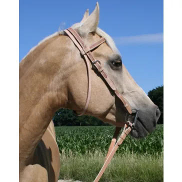 Barefoot Virginia Rose poncolt mintás kantár