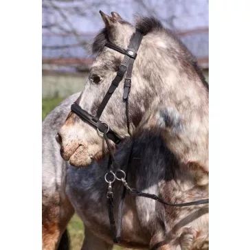   Barefoot Walnut zablanélküli kisló és pónikantár fekete