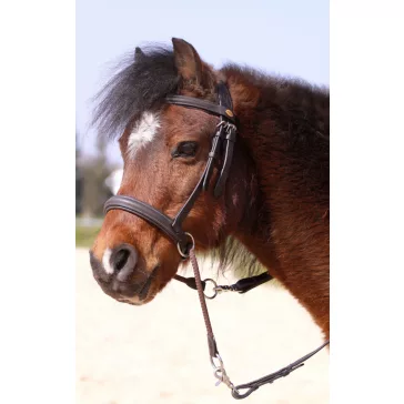 Barefoot Walnut zablanélküli kisló és pónikantár barna