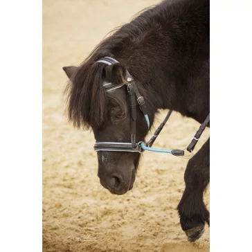   Barefoot Walnut zablanélküli kisló és pónikantár kék-fekete