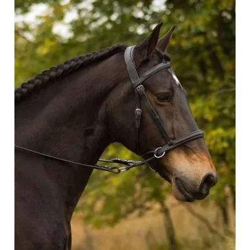   Barefoot Walnut párnázott bőr zablanélküli kantár fekete