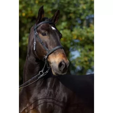   Barefoot Walnut párnázott bőr zablanélküli kantár fekete