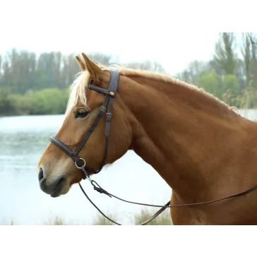   Barefoot Walnut párnázott bőr zablanélküli kantár barna