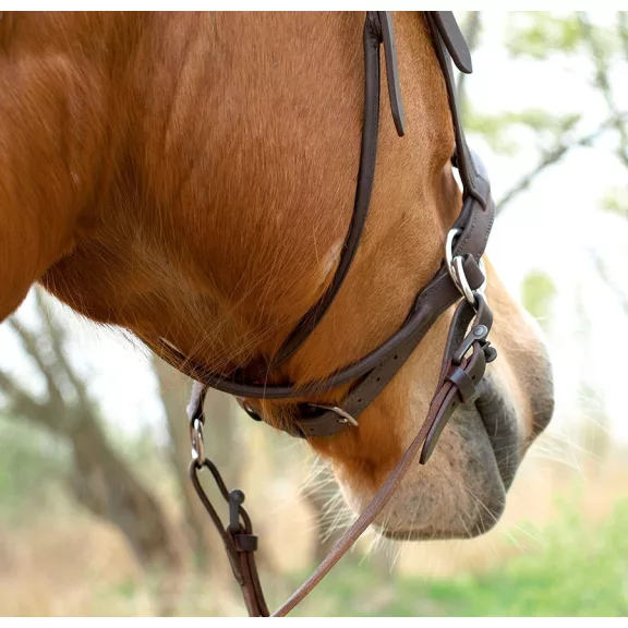 Barefoot Walnut párnázott bőr zablanélküli kantár barna