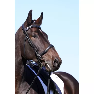 Barefoot Contour Wellington 2 az 1-ben kantár