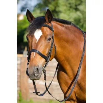 Barefoot Contour Wellington 2 az 1-ben kantár