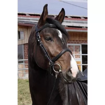 Barefoot Contour Wellington 2 az 1-ben kantár