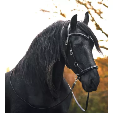 FRA Isabel lakkbőr zabla nélküli kantár, SZÁRRAL