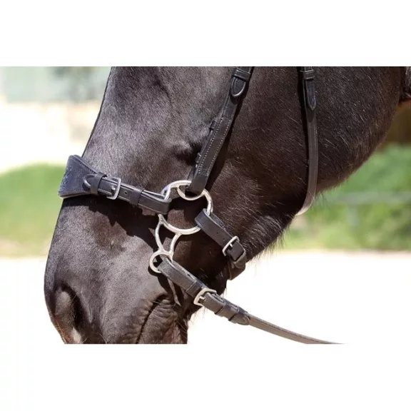 Barefoot Hackamore BB, 'Zabla nélküli zabla'